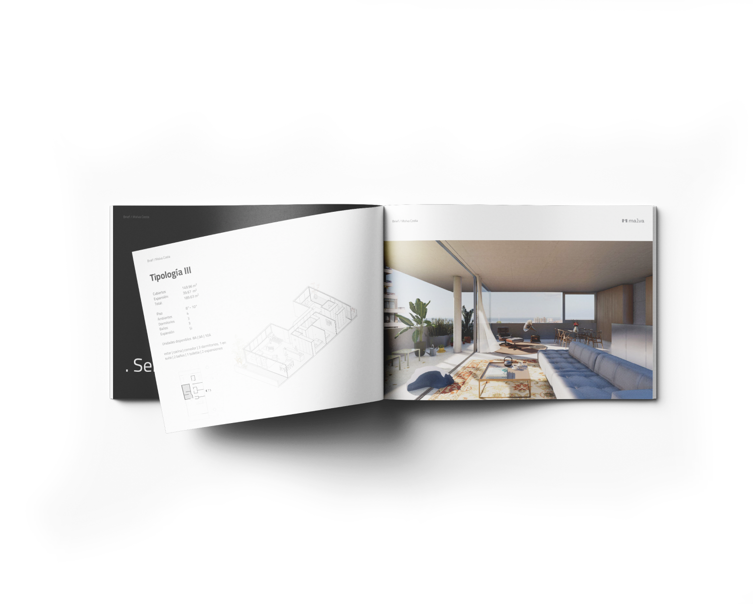 Malva Arquitectura